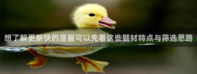 梦漫漫画人气作品：想了解更新快的漫画可以先看这些题材特点与筛选思路